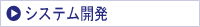 システム開発